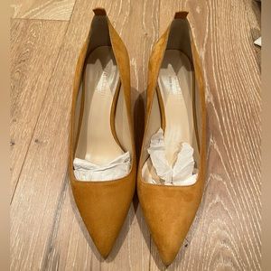 Everlane pointed toe heels